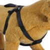 Imagen de Cinturón de seguridad para mascotas CISMA